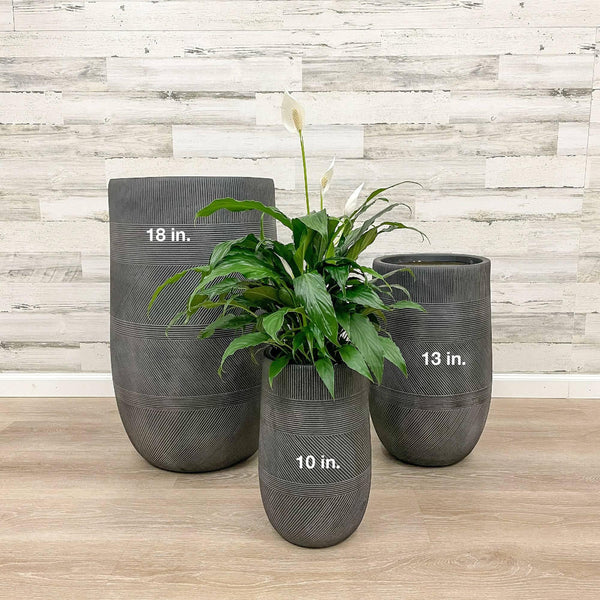 Fiberclay Tall Mixed Stripe Planter - Black - 10-inch - Hicks Nurseries