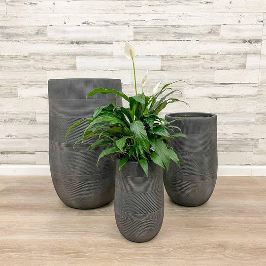 Fibreclay Tall Mixed Stripe Planter - Black - 10-inch