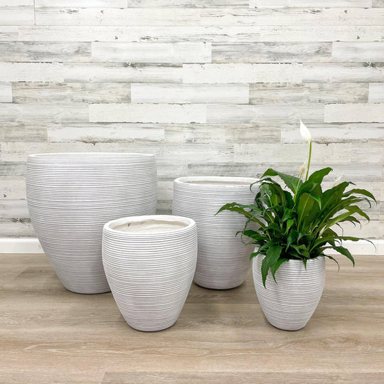 Fibreclay Taper Striped Planter - White - 10-inch