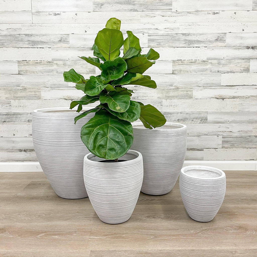 plant pot 13 inch Fibreclay Taper Striped Planter - White