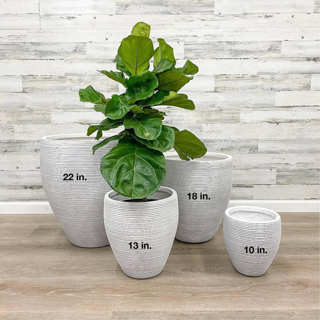 Fibreclay Taper Striped Planter - White