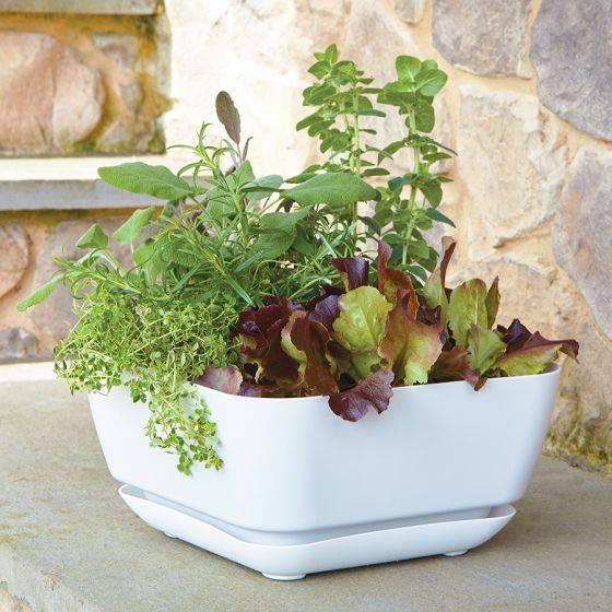 Garden Planter Taupe - 12-inches - Hicks Nurseries