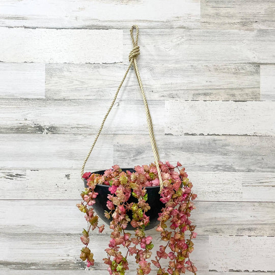 Hanging Bowl Planter - Black - 10-inches