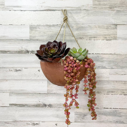 Hanging Bowl Planter - Rust - 12-inches