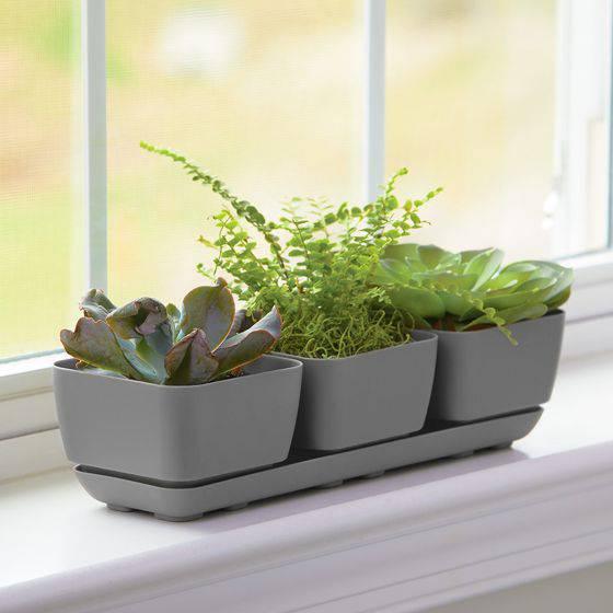 Herb Trio Planter Grey - 4-inches - Hicks Nurseries