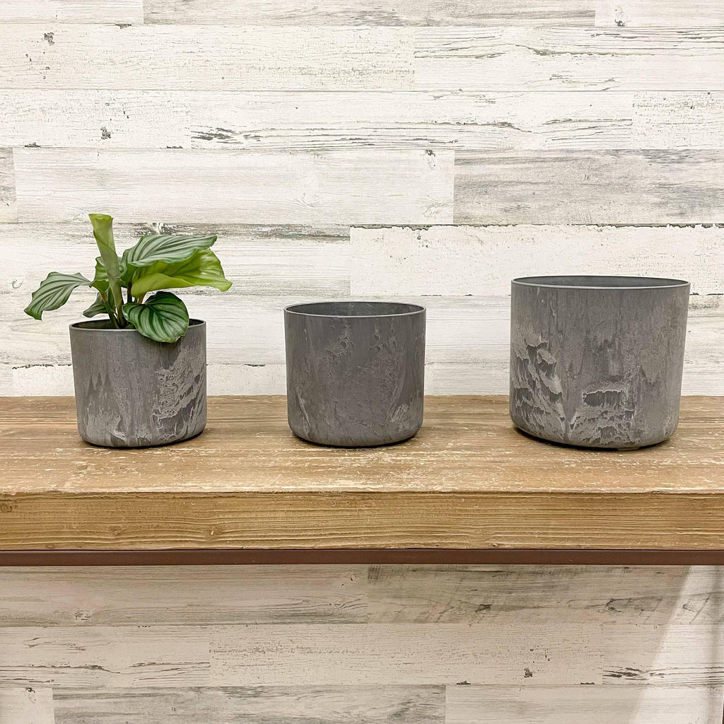 Lena Cylinder Pot - Grey - 6-inches - Hicks Nurseries
