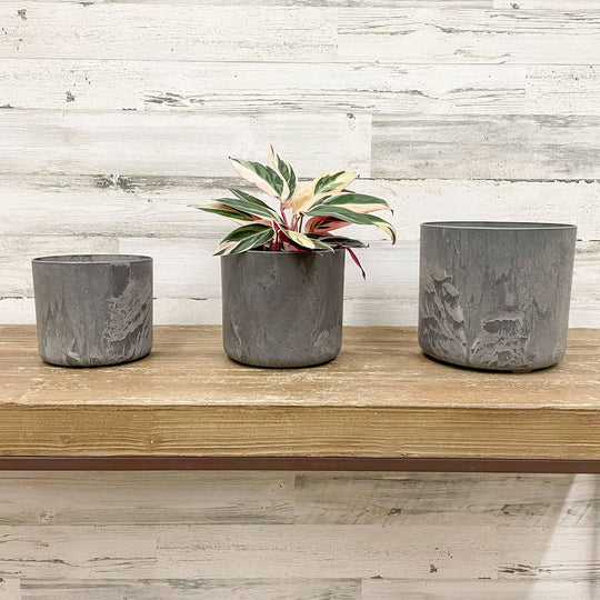 Lena Cylinder Planter - Grey - 7-inches