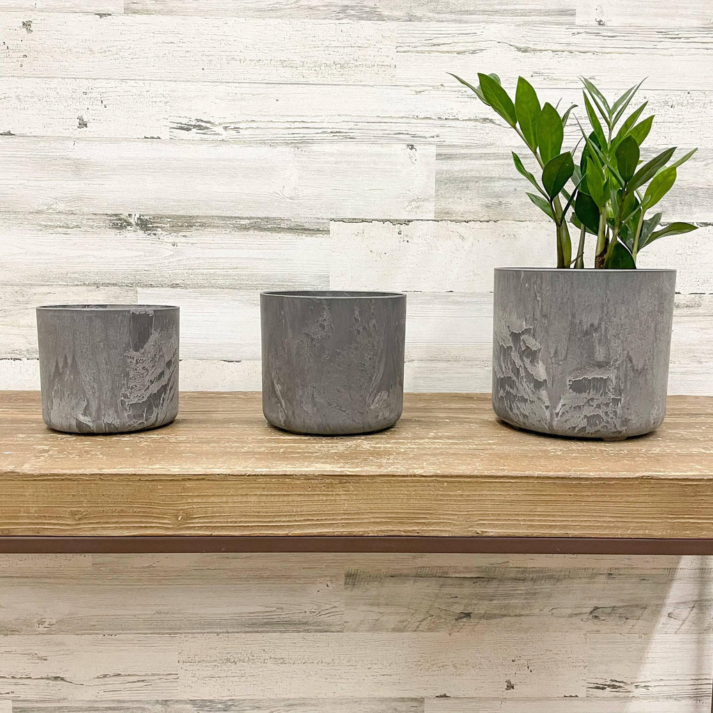 Lena Cylinder Pot - Grey - 8-inches - Hicks Nurseries