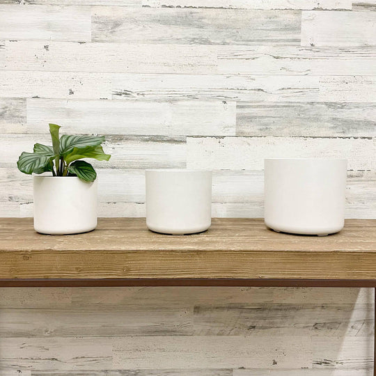 Lena Cylinder Planter - White - 6-inches