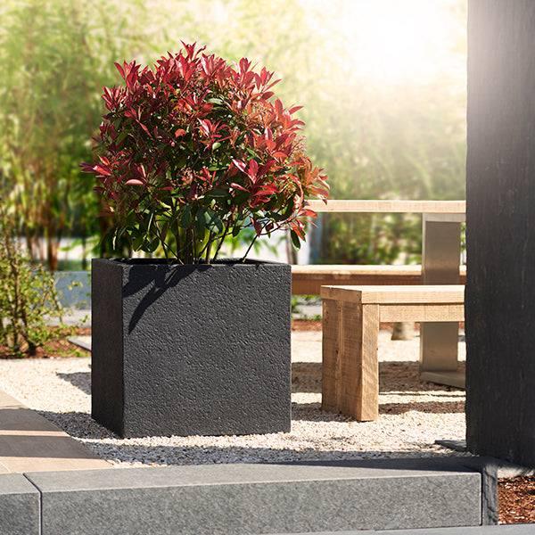 Lisburn Cube Planter - Black - 10.5-inches - Hicks Nurseries