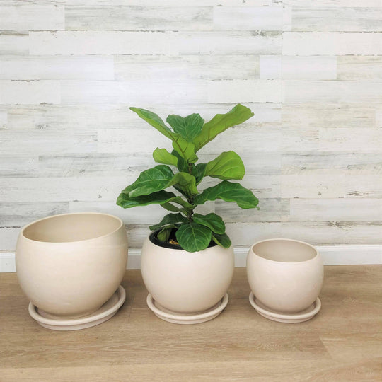 Luna Sphere Clay Pot - White - 10-inch