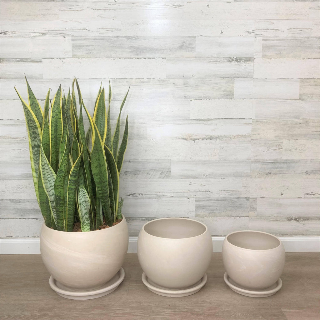 12 inch white ceramic plant pot Luna Sphere Clay - White