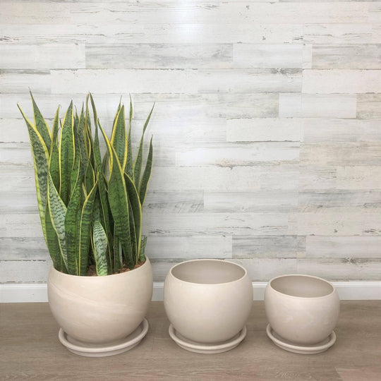 Luna Sphere Clay - White - 12-inch Pot