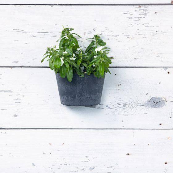 9.5 inch plant pot Napa Wall Planter - Black
