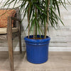 Punchcard Planter - Blue - 16-inches - Hicks Nurseries