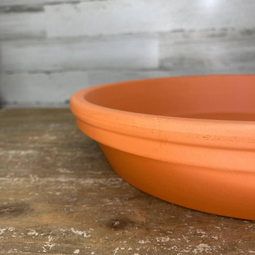 Saucer - Clay