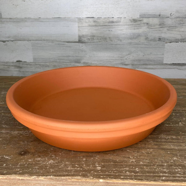 Saucer - Clay - 12-inch - Hicks Nurseries