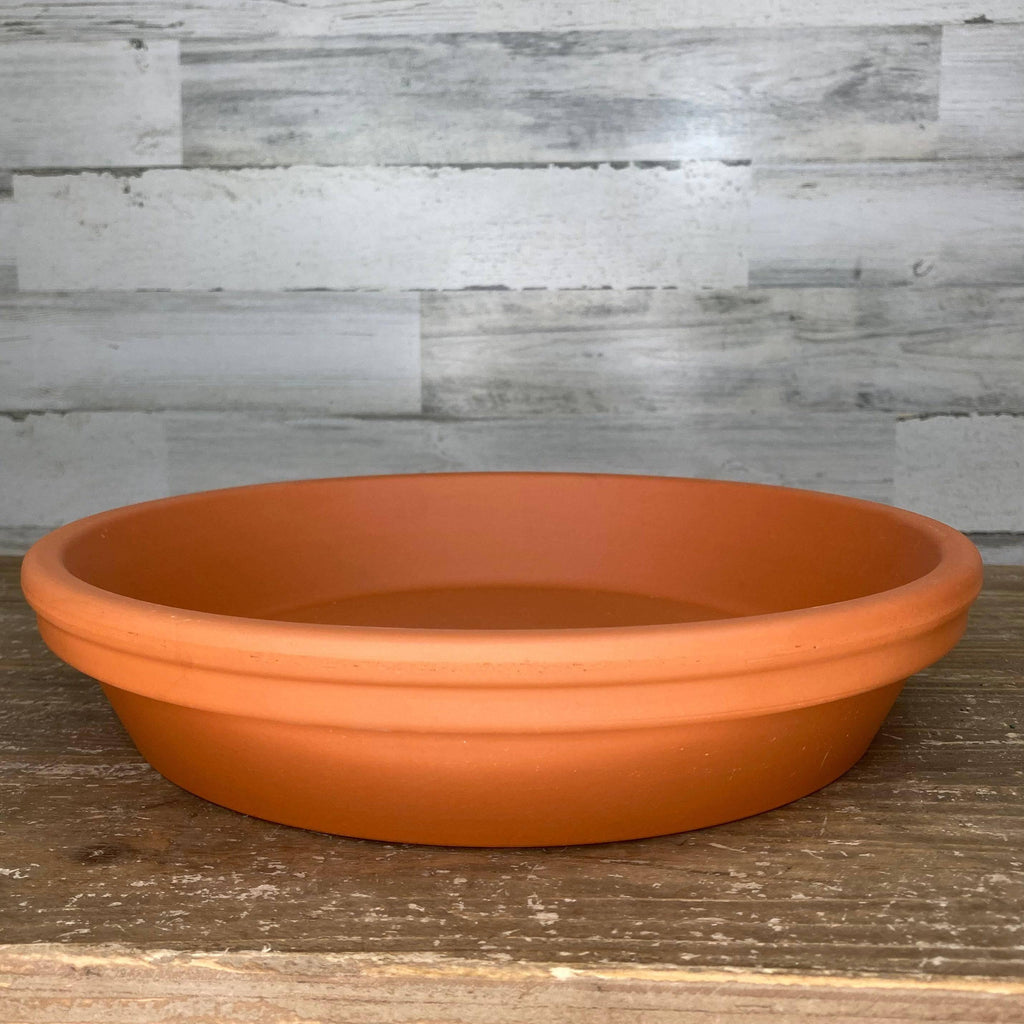 12 in plant saucer Saucer - Clay