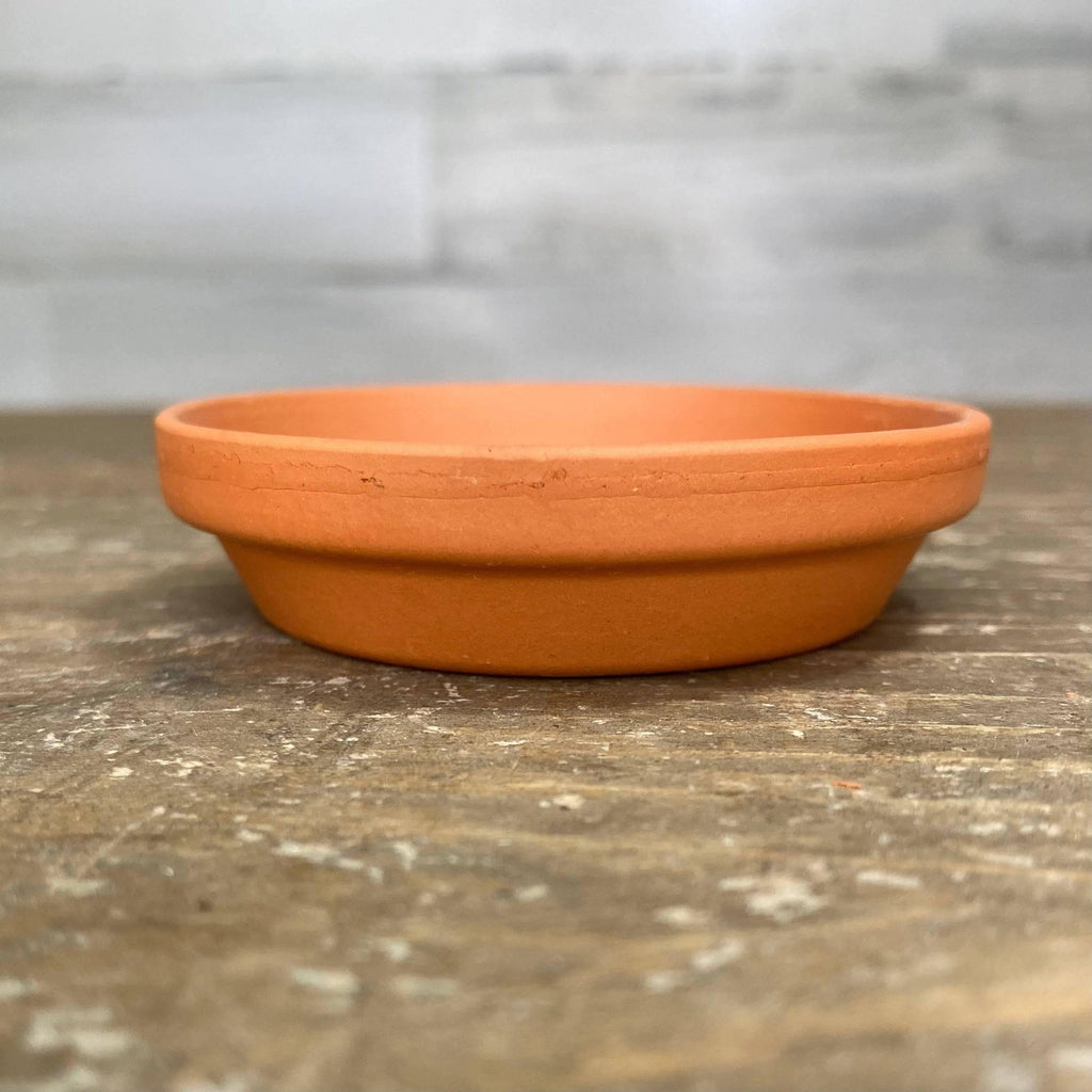 clay plant pots and saucers Saucer - Clay