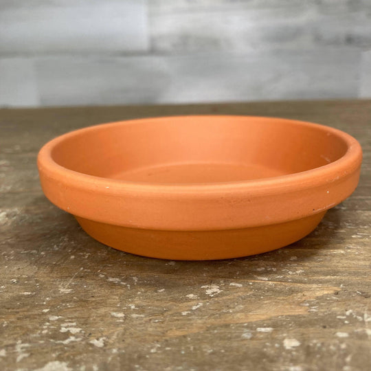 Saucer - Clay - for a 2.5-inch pot