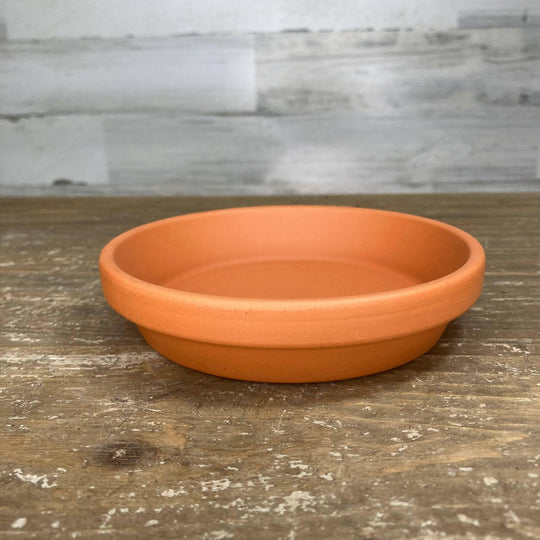 Saucer - Clay - for an 8-inch pot