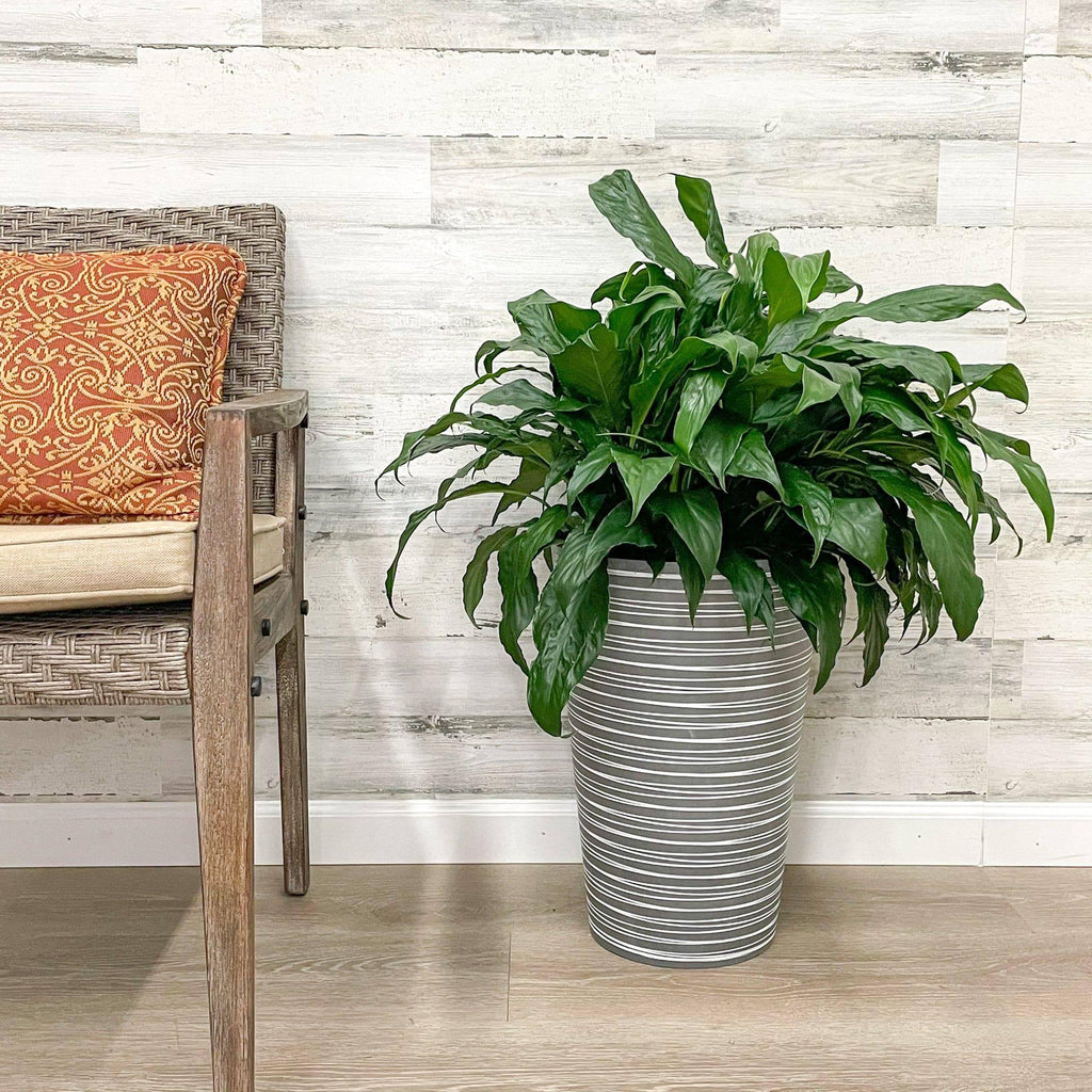12 inch diameter indoor planter Tall Round Planter Grey