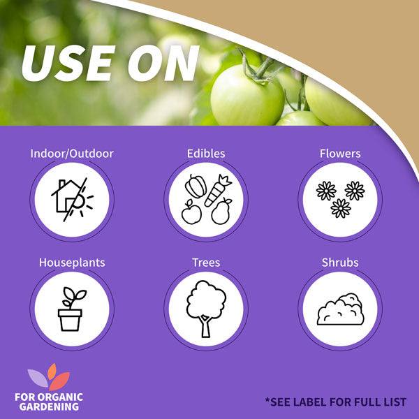 Bonide Captain Jack's™ Neem Oil ReadytoUse qt.