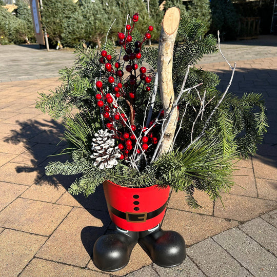 Santa Boots Holiday Evergreen Planter - 8-inches